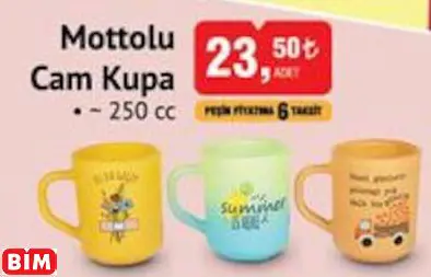 RAKLE MOTTOLU CAM KUPA